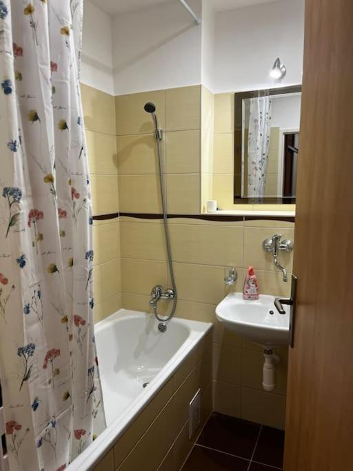 Rodinny Apartman Nedaleko Centra Banská Bystrica Buitenkant foto